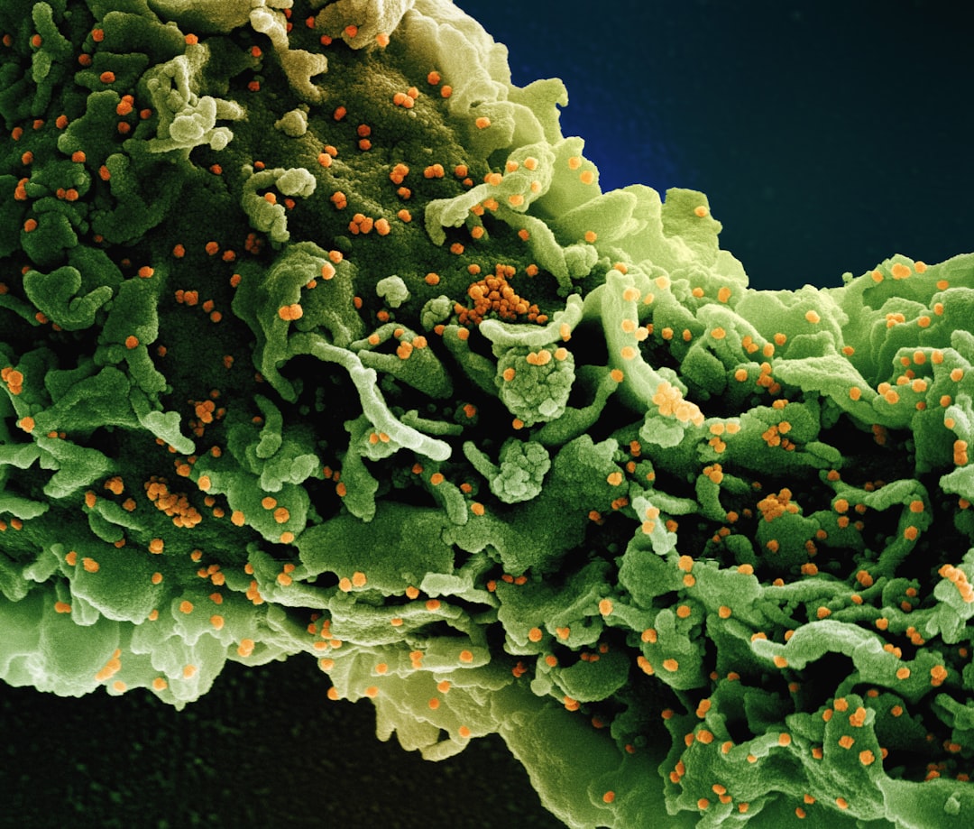 Epidemia di Cyclospora negli USA: lezioni di crisis communication per agenzie e brand
