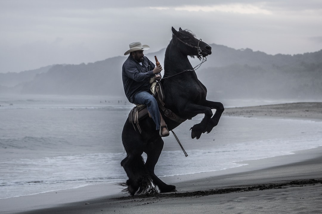 Christopher Nolan chiama l'AI un cavallo di Troia: lezioni per agenzie e brand